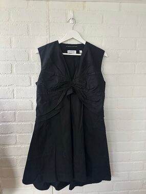 CARVEN dress